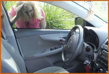 Village Locksmith Store Merion Station, PA 610-668-1488 - 15-emergency-lockout